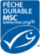 MSC